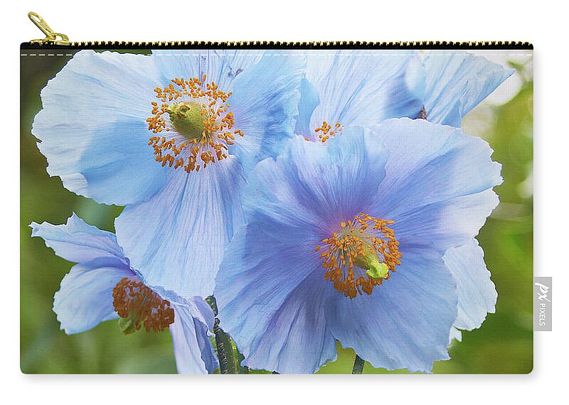 Garden Zip Pouch featuring the photograph Blue poppy by Garden Gate