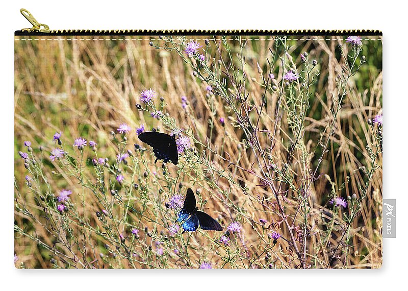 Butterfly Zip Pouch featuring the photograph Blue Ridge Butterflies 3 by Matt Sexton