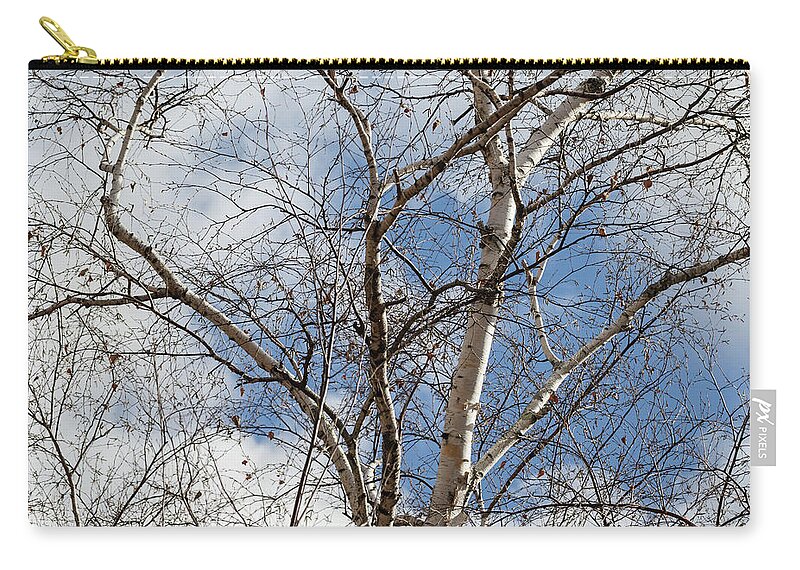 Birch Trees Zip Pouch featuring the photograph Blue Sky in the Middle - by Julie Weber
