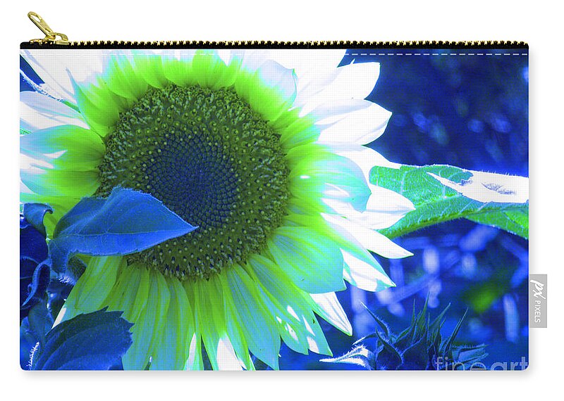 Sunflower Zip Pouch featuring the photograph Blue Tinted Sunflower by Sonya Chalmers