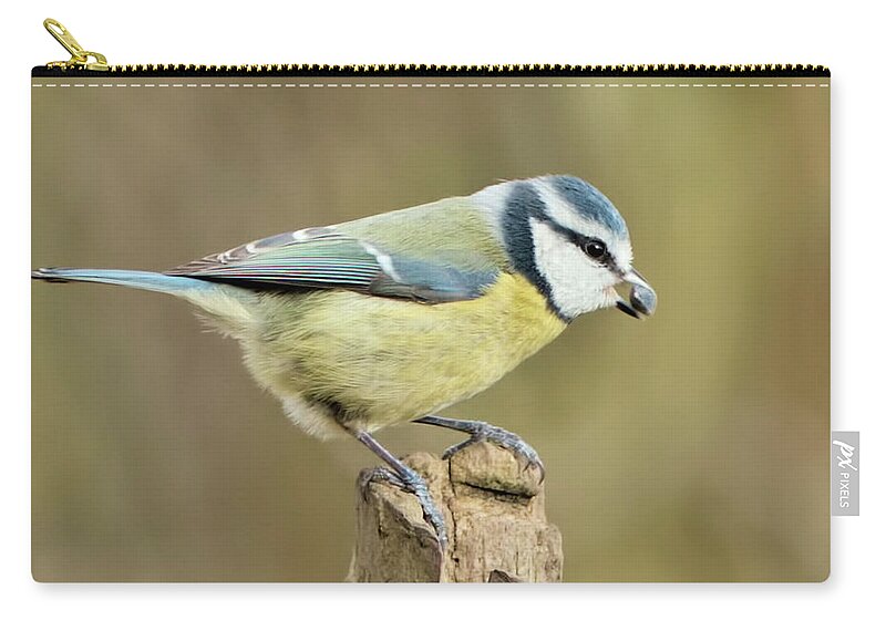  Carry-all Pouch featuring the photograph Blue Tit by Baggieoldboy