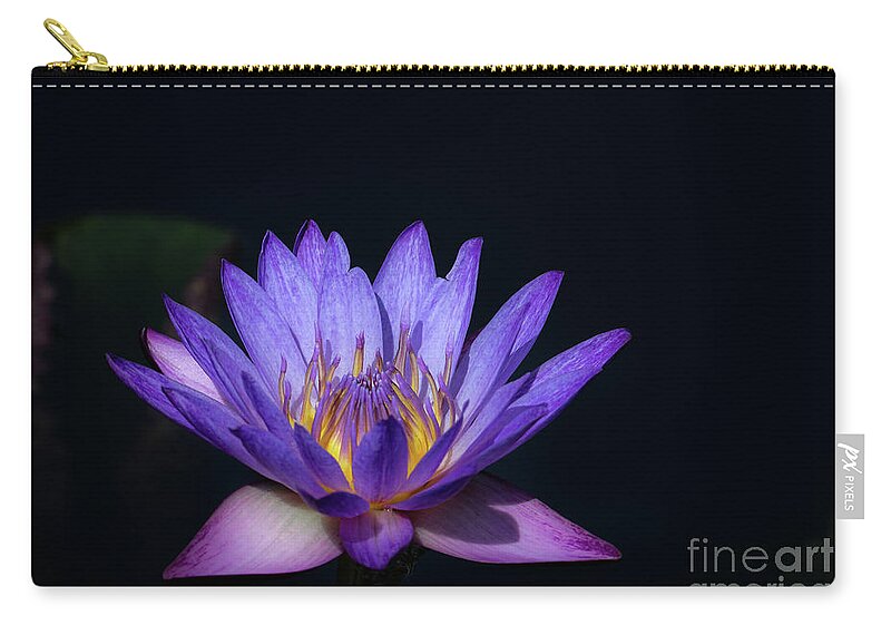 Flower Zip Pouch featuring the photograph Blue Water Lily by Andrea Silies
