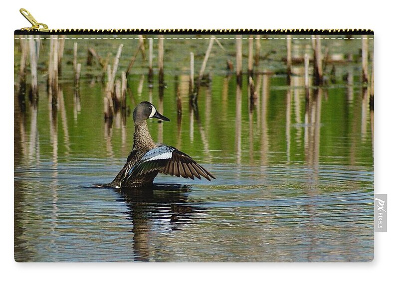 Nature Zip Pouch featuring the photograph Blue Wing Teal by Steven Clipperton