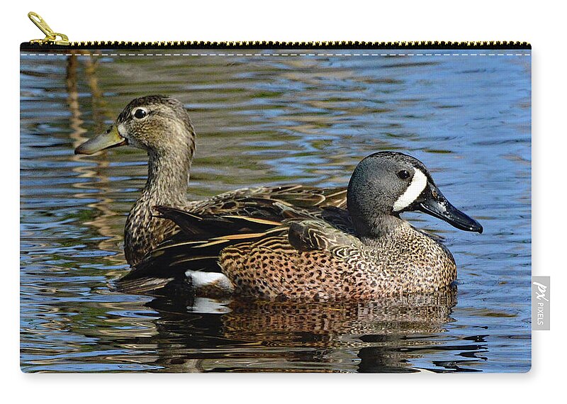 Ducks Zip Pouch featuring the photograph Blue Winged Teal Pair by Jerry Griffin