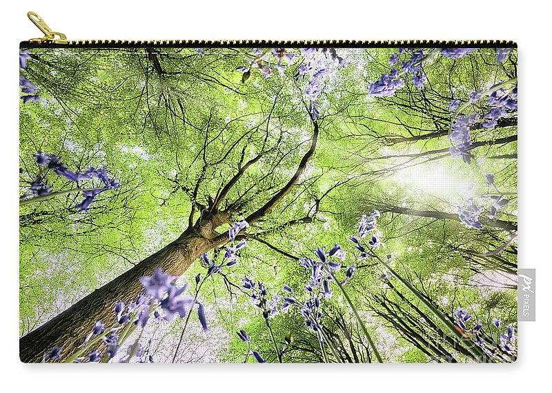 Flowers Carry-all Pouch featuring the photograph Bluebells from worms eye view by Simon Bratt