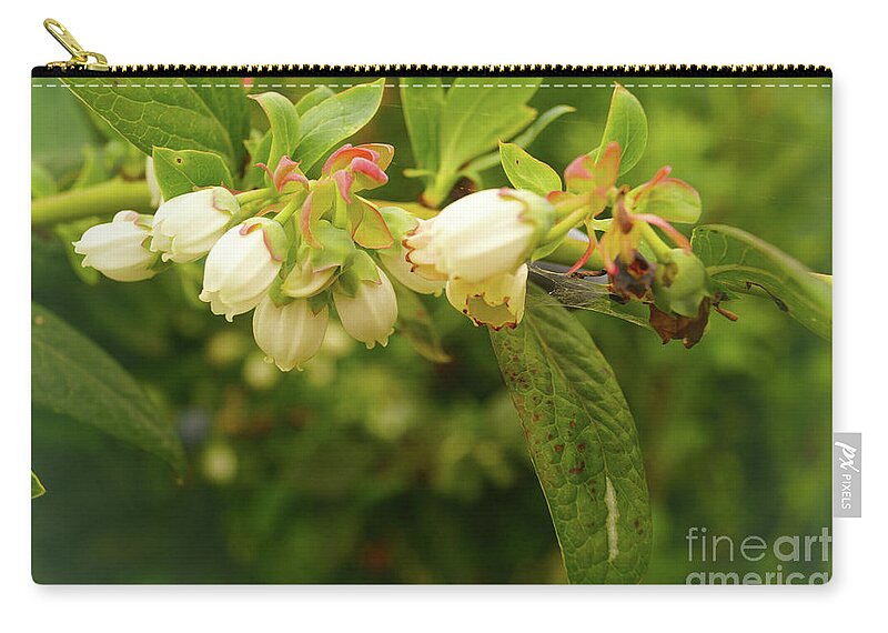 Blueberry Zip Pouch featuring the photograph Blueberry Blossoms by Cassandra Buckley