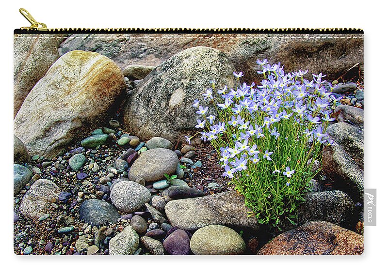 Bluets Among The River Rocks Zip Pouch featuring the photograph Bluets among the River Rocks by Carolyn Derstine