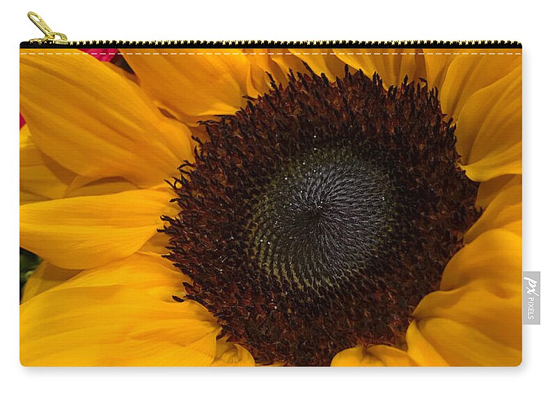 Sunflower Zip Pouch featuring the photograph Bold Sunflower by Arlene Carmel