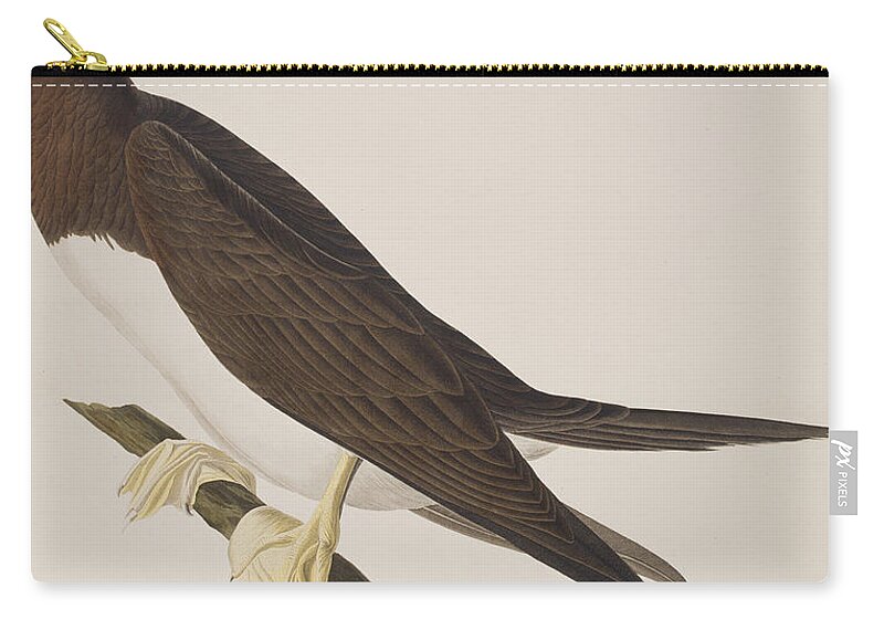 Booby Zip Pouch featuring the painting Booby Gannet  by John James Audubon