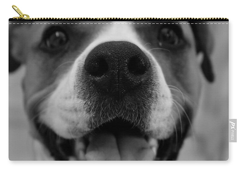 Nose Zip Pouch featuring the photograph Boop by Melisa Elliott