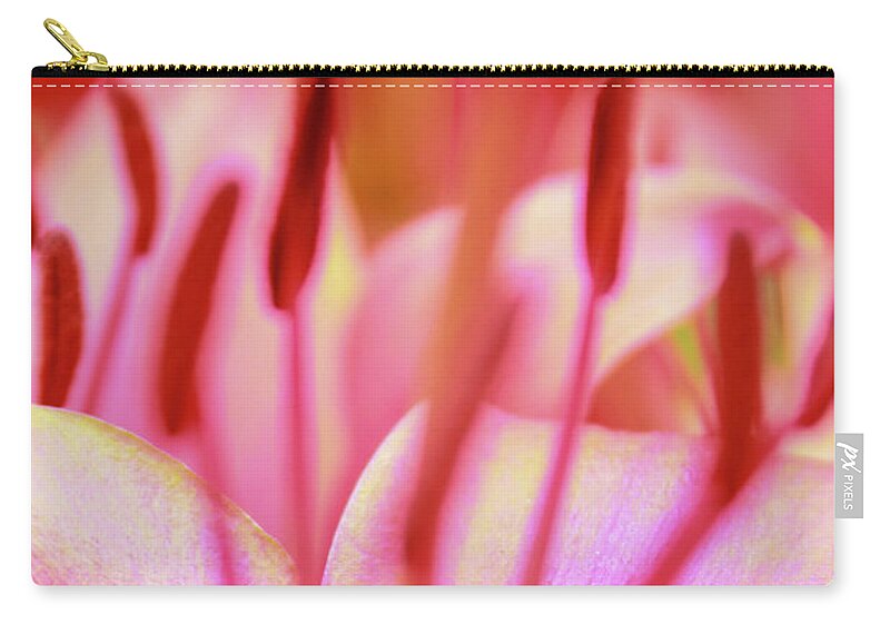 Flower Carry-all Pouch featuring the photograph Born to Blush by Becqi Sherman