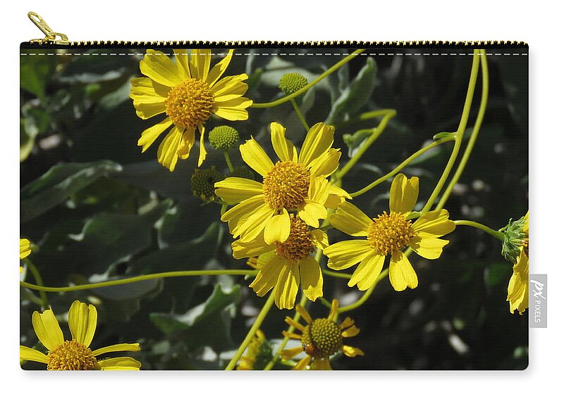 Borrego Springs Zip Pouch featuring the photograph Borrego Springs Bloom 8 by Helaine Cummins