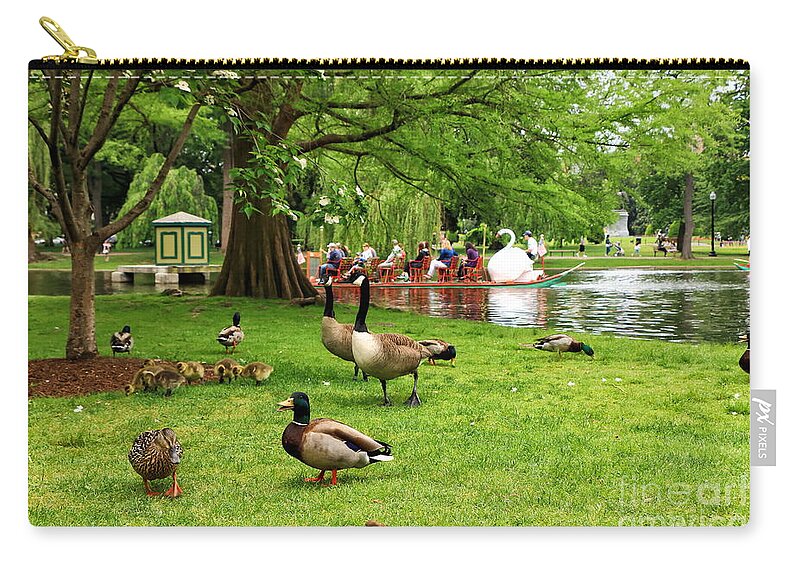 Boston Zip Pouch featuring the photograph Boston and Her Birds by Elizabeth Dow