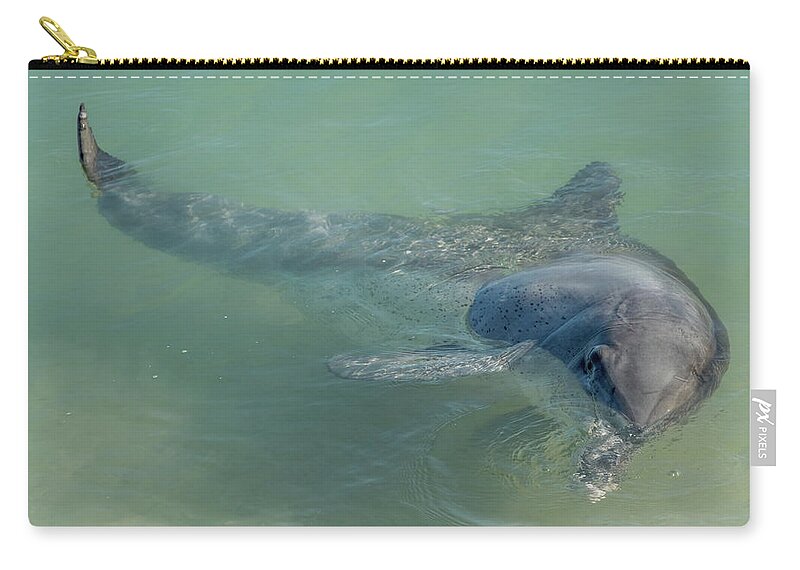 Dolhin Zip Pouch featuring the photograph Bottlenose dolphin by Martin Capek