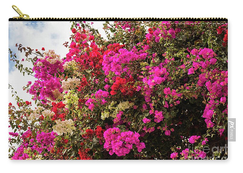 Bougainvillea Zip Pouch featuring the photograph Bougainvillea in Funchal by Eva Lechner