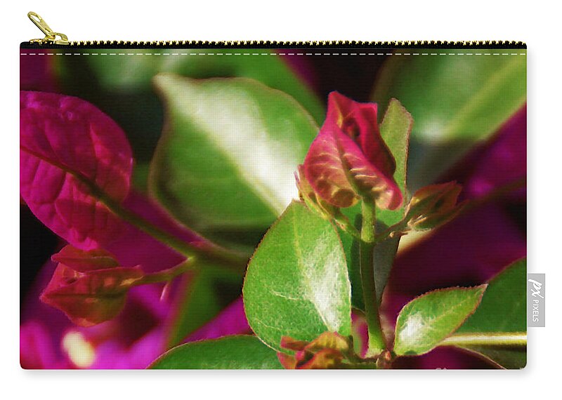 Bougainvillea Zip Pouch featuring the photograph Bougainvillea by Linda Shafer