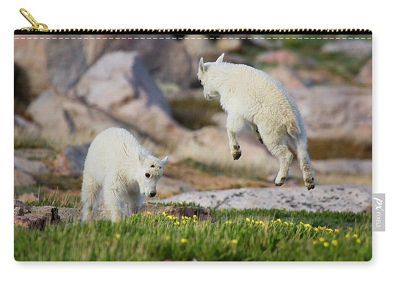 Mountain Goats Carry-all Pouch featuring the photograph Bounder by Jim Garrison