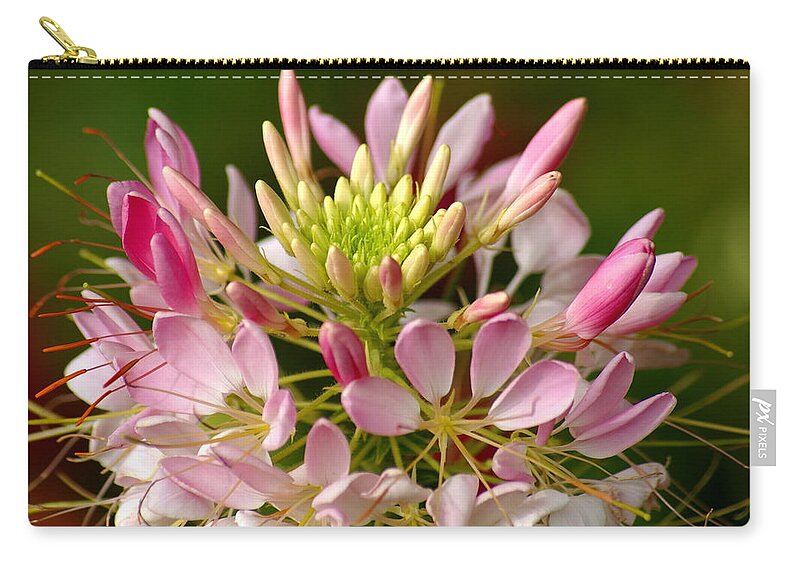 Flowers Zip Pouch featuring the photograph Bowl of Beauty by Ben Upham III