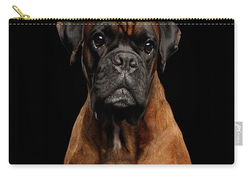 Boxer Zip Pouch featuring the photograph Boxer by Sergey Taran