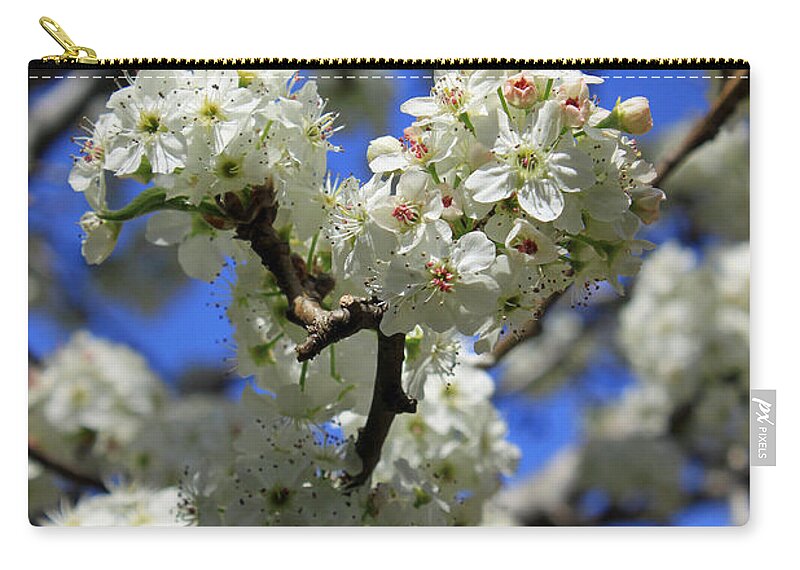 Bradford Pear Zip Pouch featuring the photograph Bradford Pear Blossoms by Suzanne Gaff