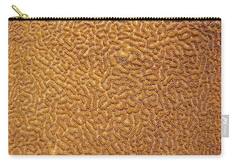 Texture Carry-all Pouch featuring the photograph Brain Coral 47 by Michael Fryd