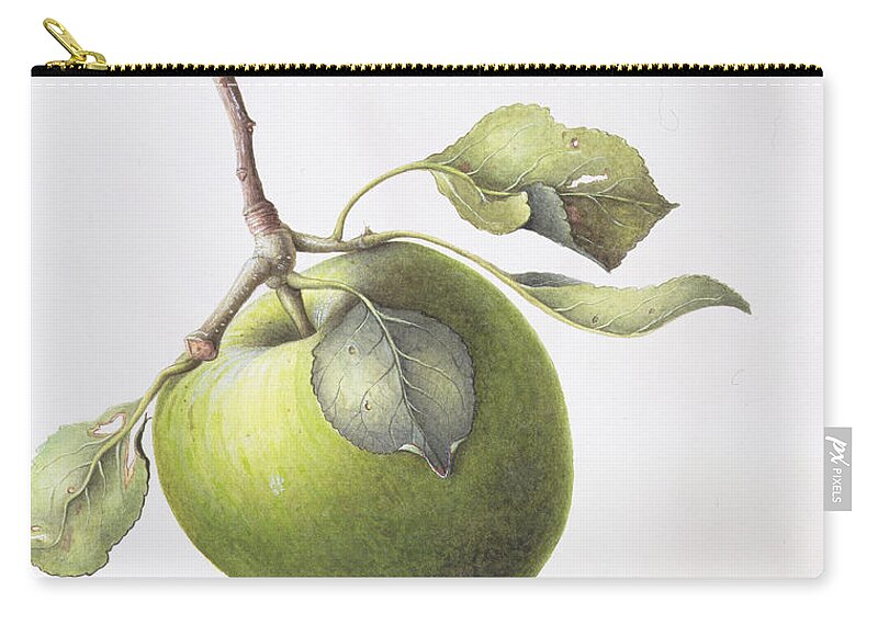 Bramley Apple Zip Pouch featuring the painting Bramley Apple by Margaret Ann Eden