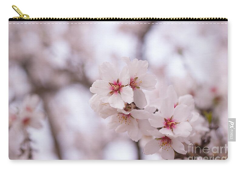 Blossoms Zip Pouch featuring the photograph Branch Blossoms by Ana V Ramirez