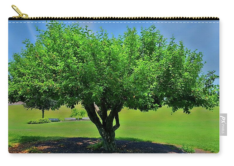 Tree Carry-all Pouch featuring the photograph Branching Out by Dani McEvoy