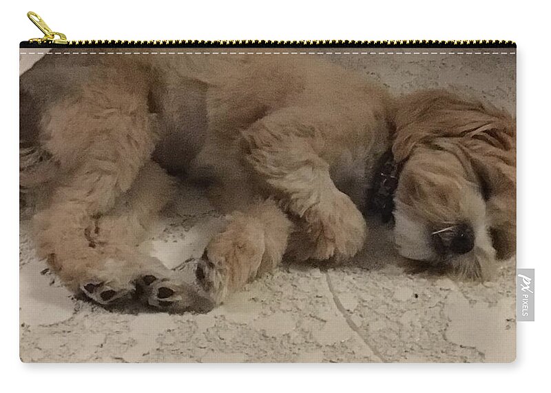 Dog Sleeping Zip Pouch featuring the photograph Brandy by Val Oconnor