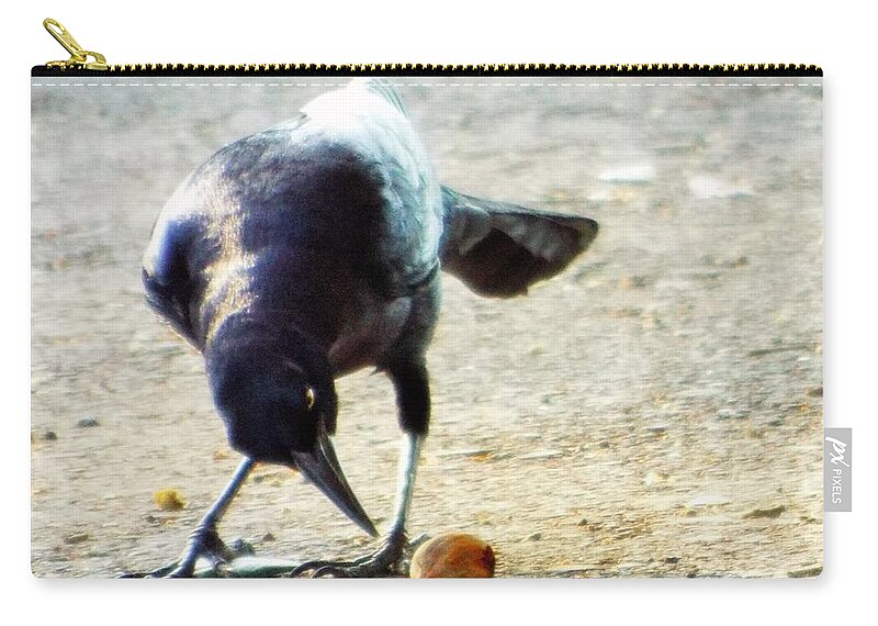 Blackbird Zip Pouch featuring the photograph Break for lunch by Michael Dillon