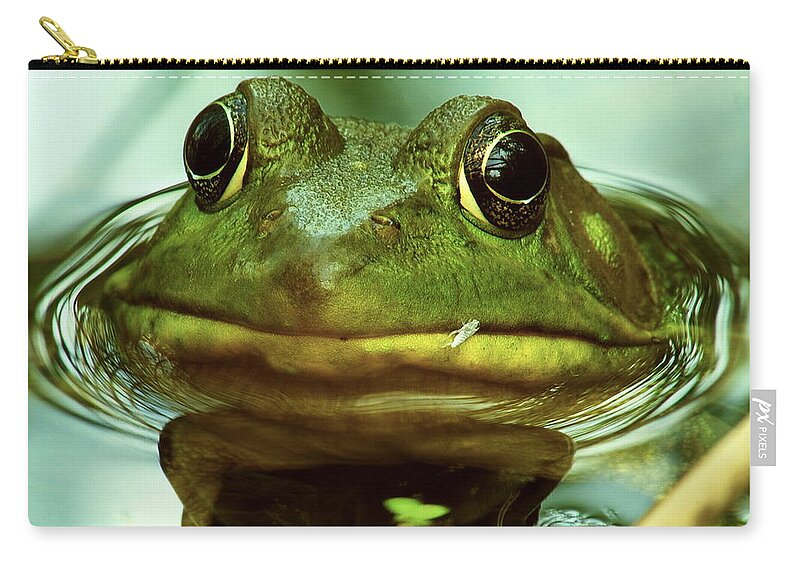 Nature Zip Pouch featuring the photograph Breakfast Anyone by Michael Peychich