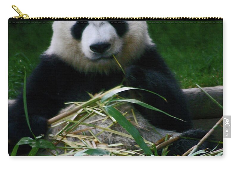 Animals Carry-all Pouch featuring the photograph Breakfast at the Zoo by Bess Carter