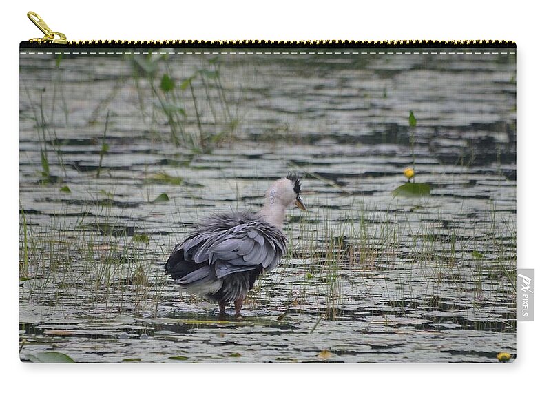 Great Blue Heron Zip Pouch featuring the photograph Breezy Blue- Great Blue Heron by David Porteus