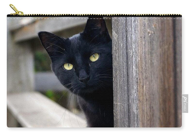 Cat Zip Pouch featuring the photograph Bright Eyed Kitty by Tracey Vivar