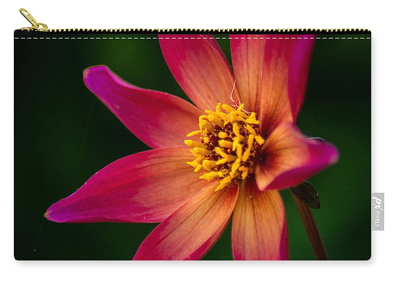 Red Zip Pouch featuring the photograph Bright Idea by Bill Pevlor