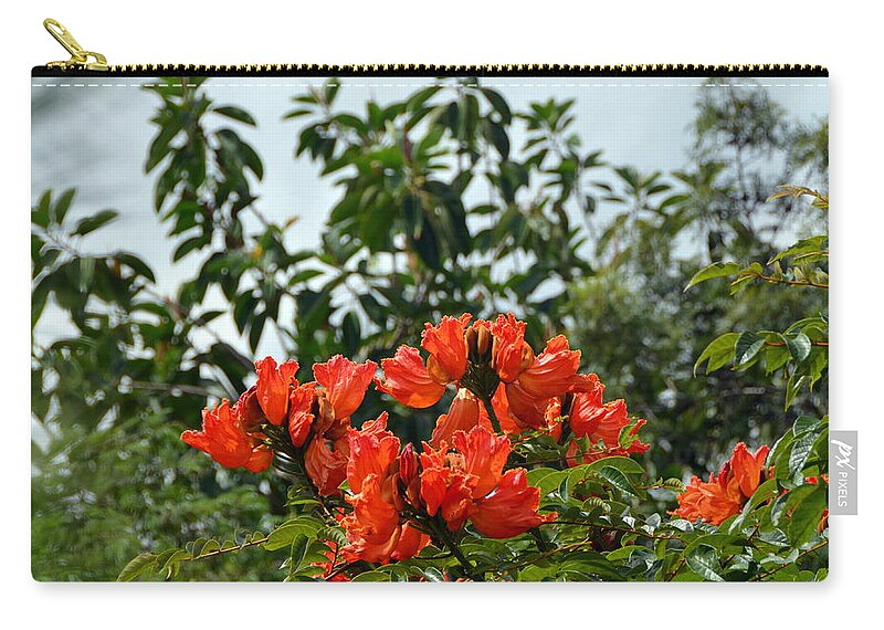 Orange Zip Pouch featuring the photograph Bright Orange Honduran Flowering Tree by Carla Parris