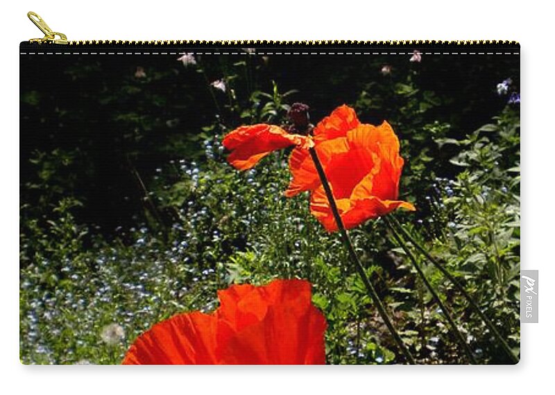 Oriental Poppy Zip Pouch featuring the painting Bright Orange by Renate Wesley