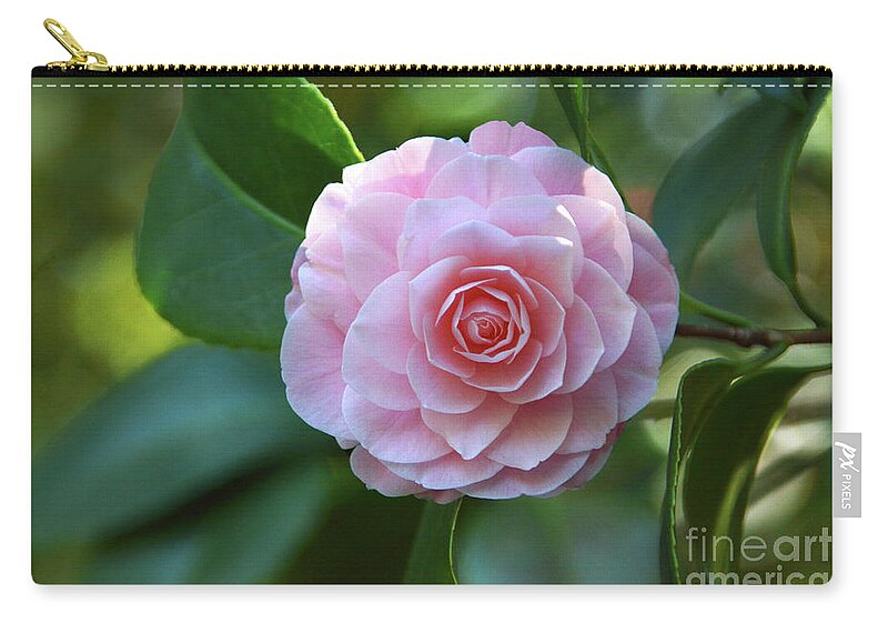 Flower Zip Pouch featuring the photograph Bright Spot by Dan Holm