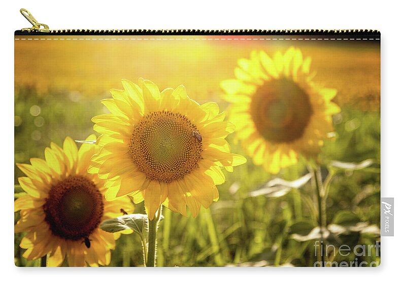 Sunflowers Zip Pouch featuring the photograph Bright Sunflower Trio by Eleanor Abramson