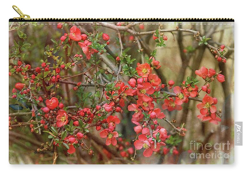Japanese Quince Zip Pouch featuring the photograph Brighten my garden by Yumi Johnson