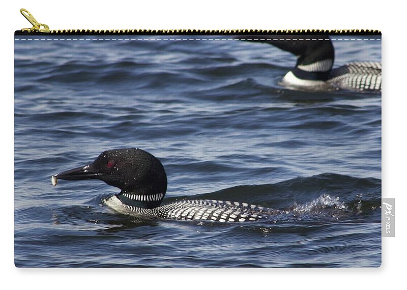 Loons Zip Pouch featuring the photograph Bringing Home Dinner by Alice Mainville