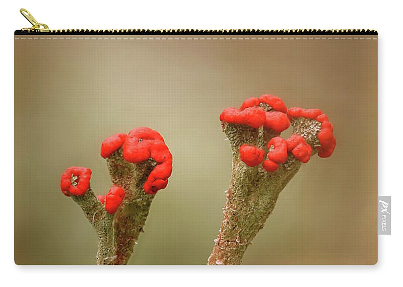 Lichen Carry-all Pouch featuring the photograph British Soldiers by Robert Charity