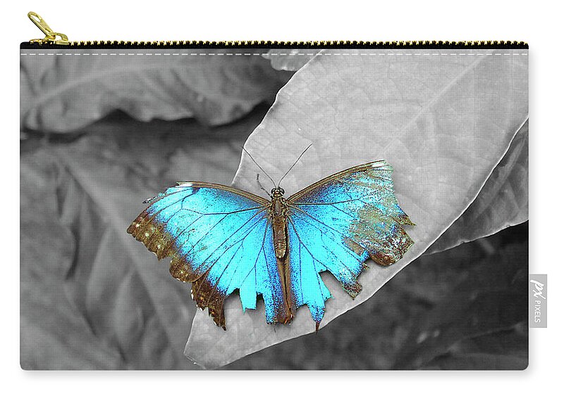 Animals Zip Pouch featuring the photograph Broken Dream by Steven Myers