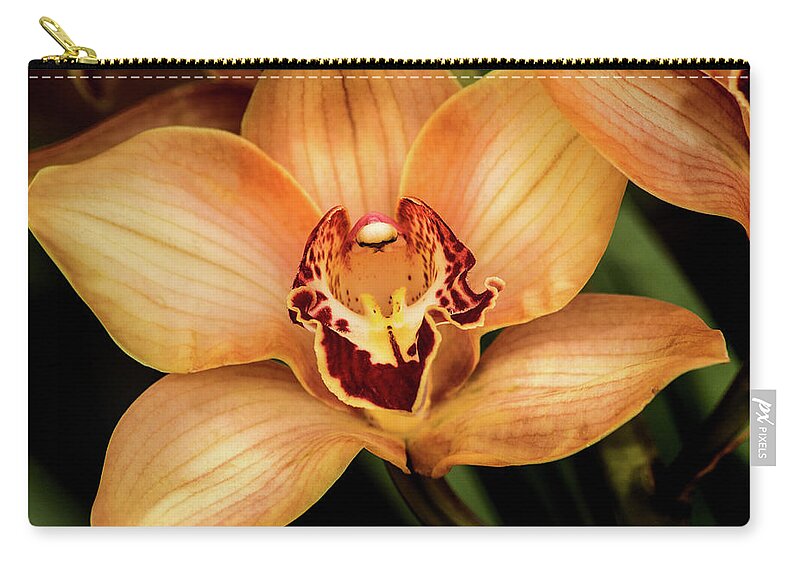 Flower Zip Pouch featuring the photograph Brookside Orchid by Don Johnson