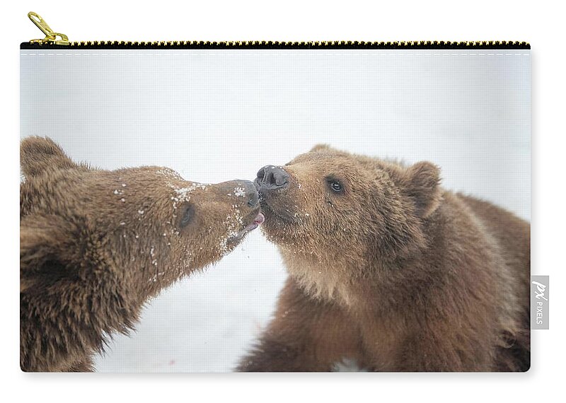 Bear Zip Pouch featuring the photograph Brotherly love #1 by Patricia Dennis
