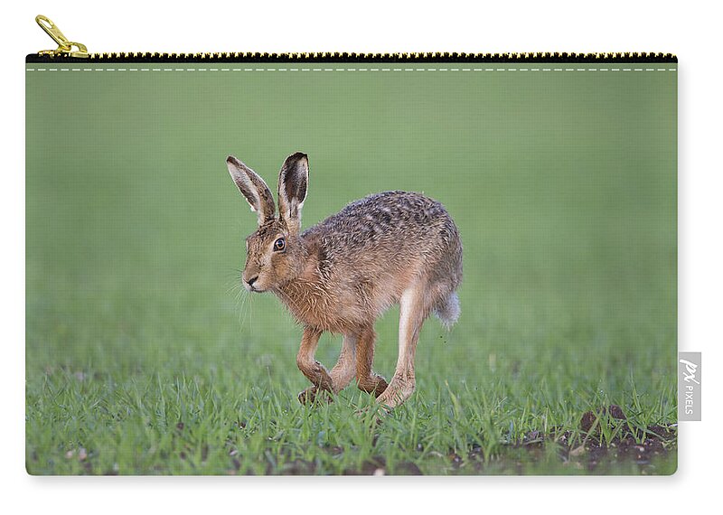 Brown Carry-all Pouch featuring the photograph Brown Hare Running by Pete Walkden