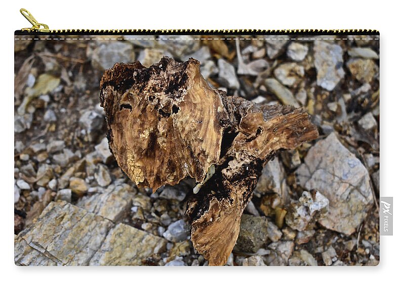 Brown Zip Pouch featuring the photograph Curiosity 1 by Melisa Elliott