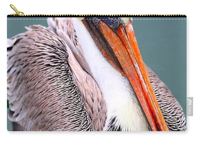 Animal Zip Pouch featuring the photograph Brown Pelican . 7D8291 by Wingsdomain Art and Photography