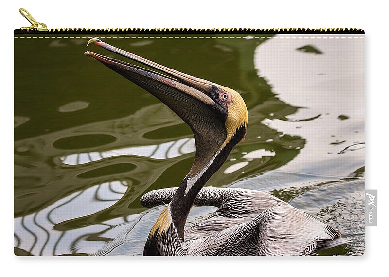 Brown Pelican Zip Pouch featuring the photograph Brown Pelican Begging for Fish - Series 3 of 5 by Debra Martz
