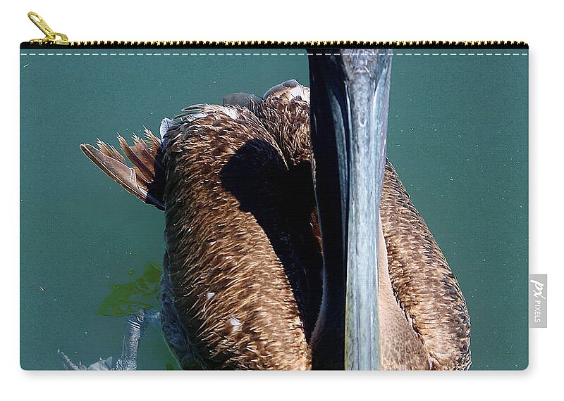 Wildlife Zip Pouch featuring the photograph Brown Pelican by Debra Forand